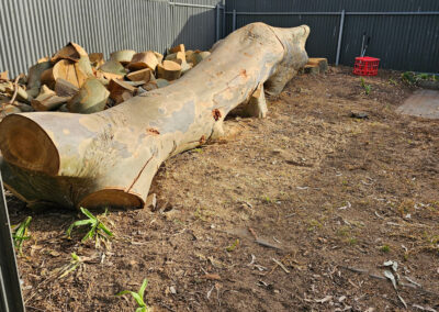 Spotted gum removal before cleanup