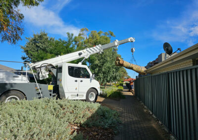 Spotted gum tree removal over premises