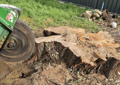 stump grinding in progress