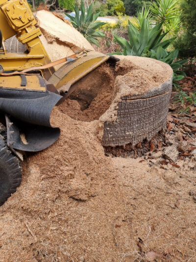 Stump grinding Adelaide